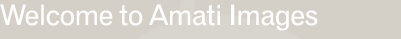 Welcome to Amati Images